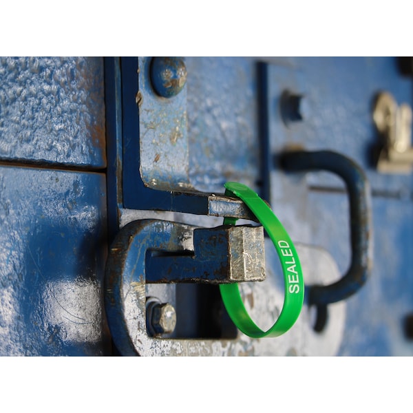 Disposable Security Shipping Seal Padlock for Truck Tailgate, Blu, PK100